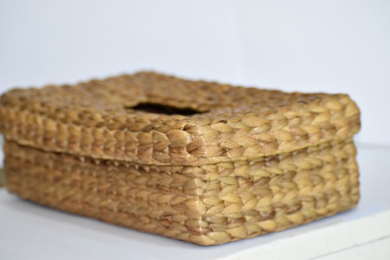 Water hyacinth plants picture